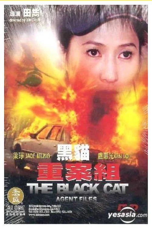 黑貓重案組(2003)海報