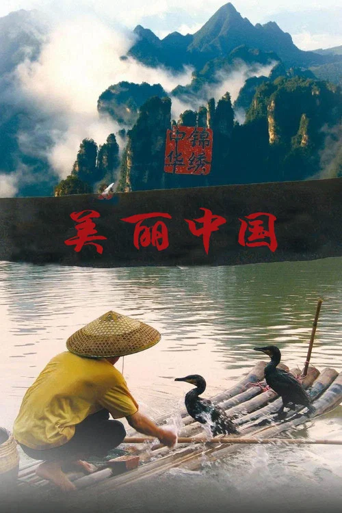 美丽中国(2008)海报