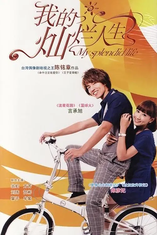 我的燦爛人生(2011)海報