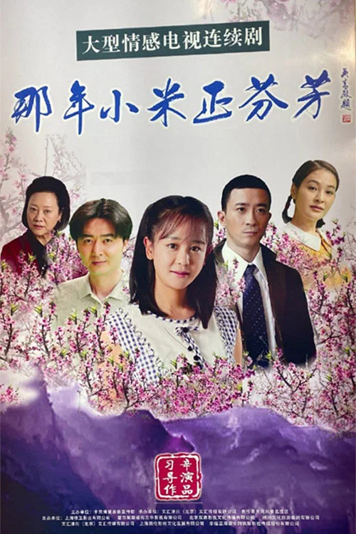 三妹和她的親人們劇照2