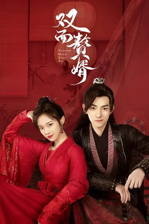 双面赘婿第2季海报