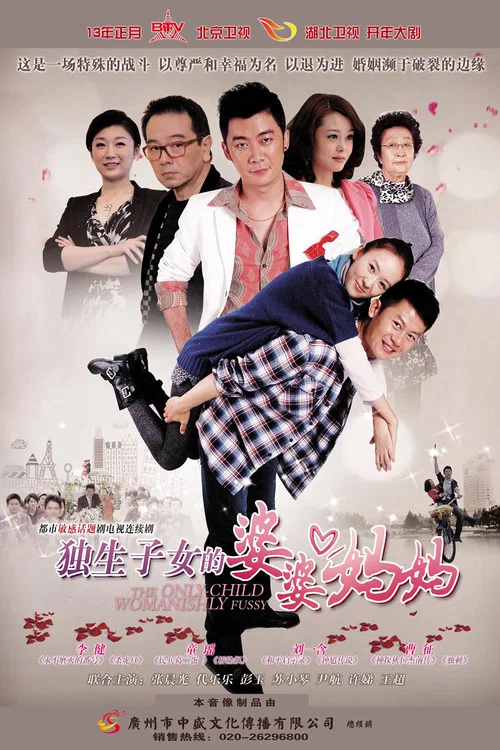 獨生子女的婆婆媽媽(2013)海報