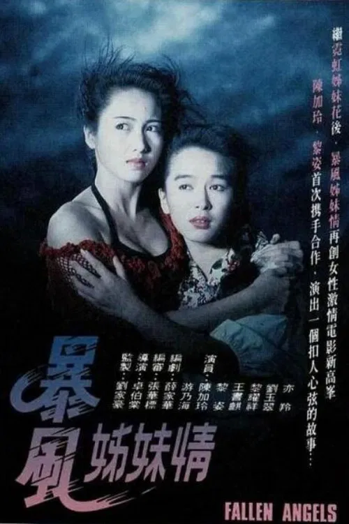 暴風姊妹情粵語(1991)海報