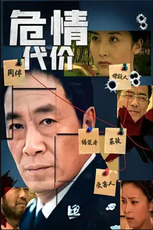 危情代價(2013)海報