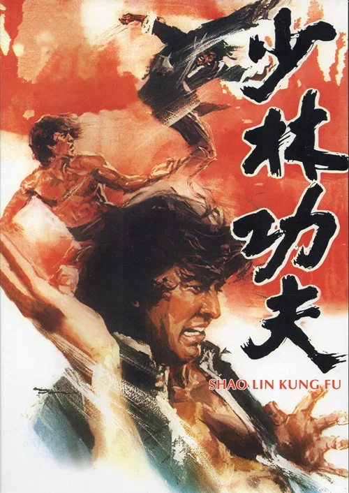 少林功夫劇照3