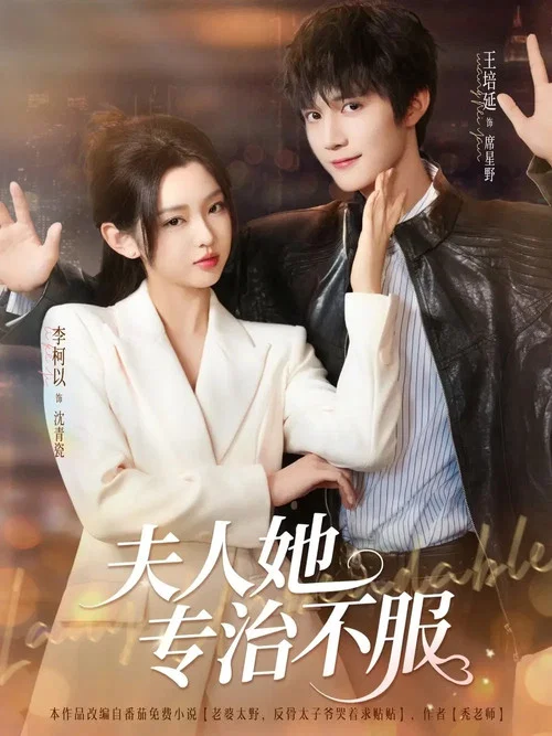 夫人剧照2