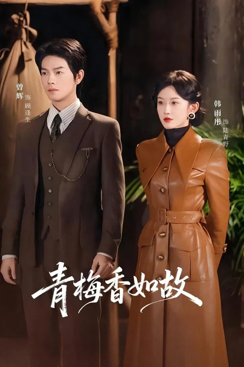 青梅如故剧照2