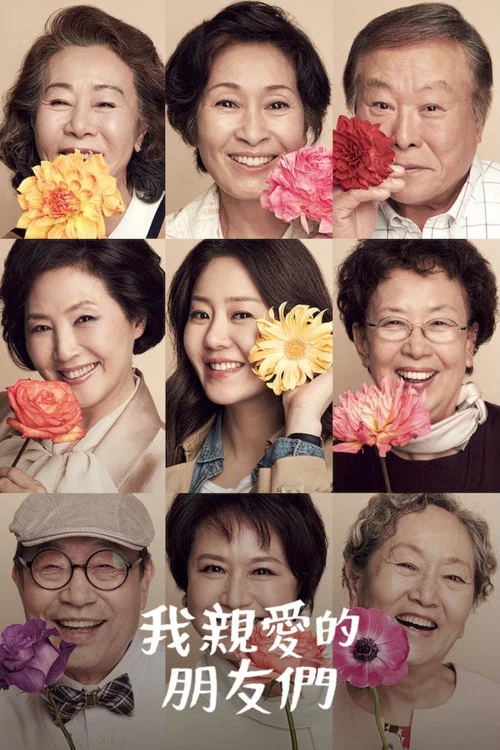 我親愛的朋友們(2016)海報