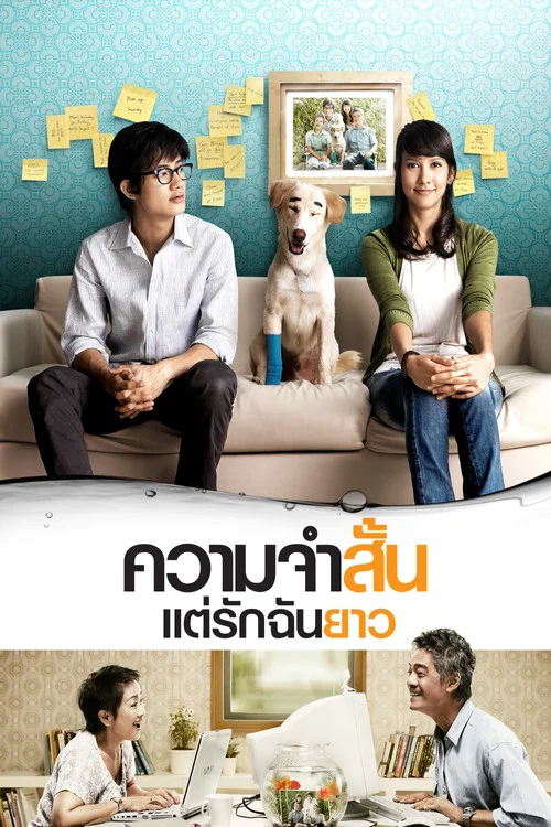 愛久彌新(2009)海報