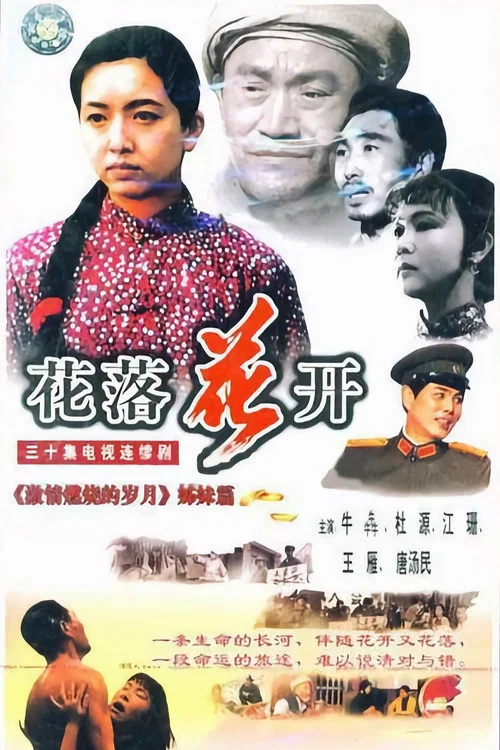 花开花落(1995)海报