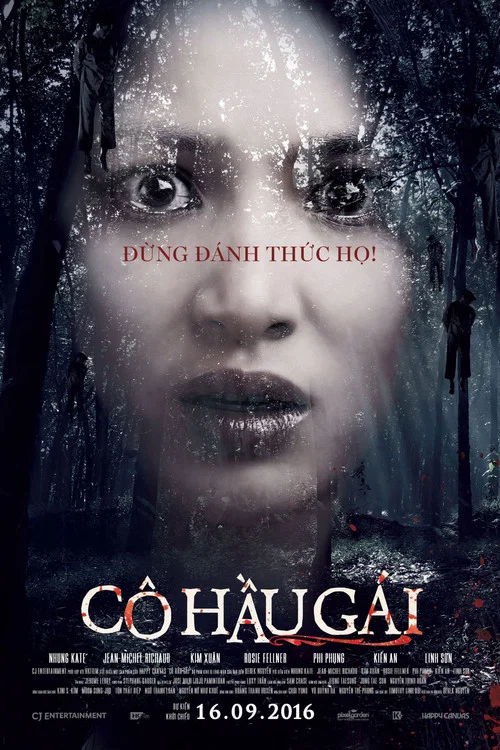 侍女(2016)海报