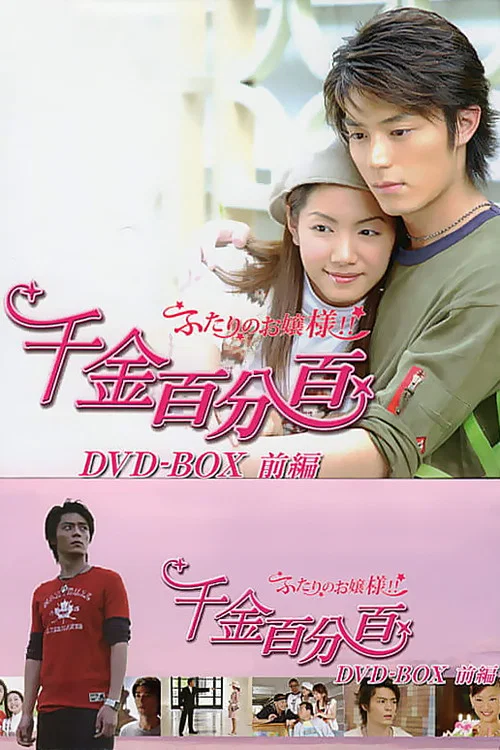 千金百分百(2003)海報
