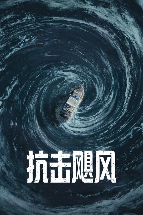 抗击飓风(2026)海报