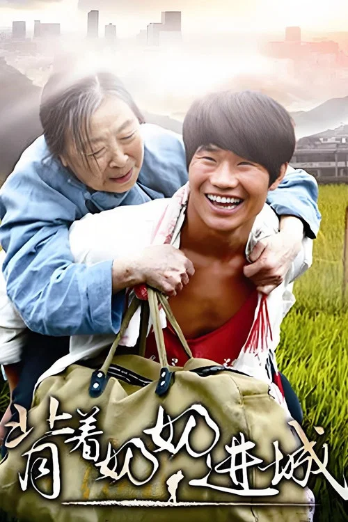 背着奶奶进城(2015)海报