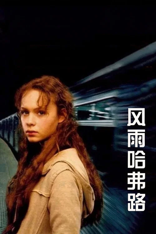 风雨哈佛路(2003)海报
