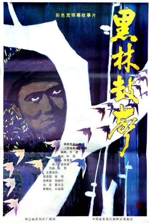 黑林鼓声(1985)海报