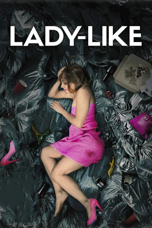 宛若淑女(2017)海報