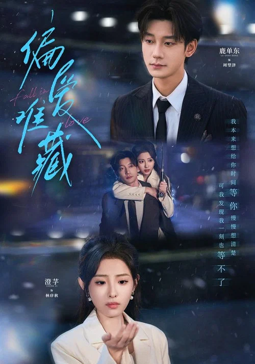 偏爱难藏(2026)海报