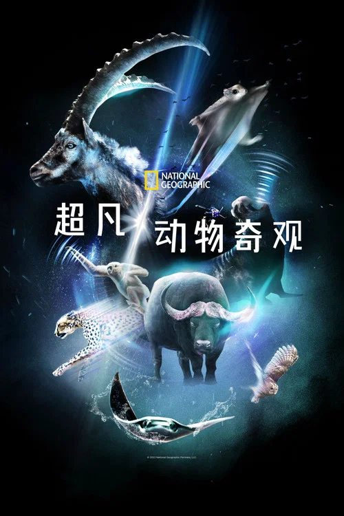 超凡動物奇觀劇照2