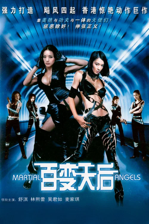 絕色神偷(2001)海報