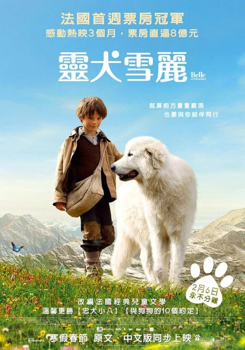 靈犬雪莉劇照2