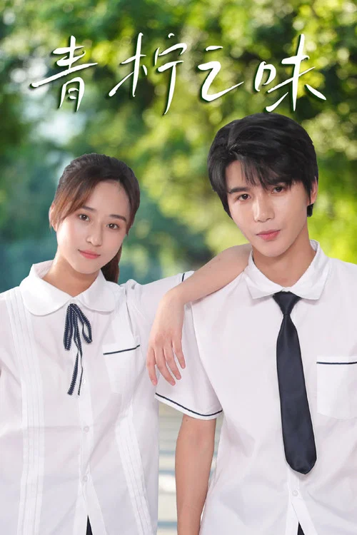 青柠之味(2024)海报