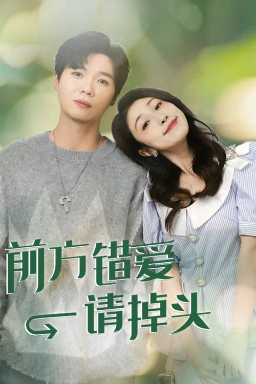 前方错爱请掉头(2024)海报
