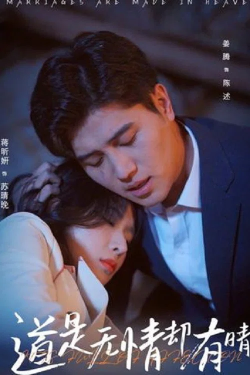 道是无情却有晴(2025)海报