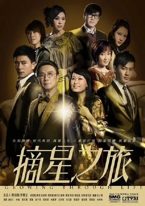 摘星之旅粵語(2010)海報