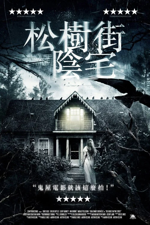 松樹街的那幢房子(2015)海報