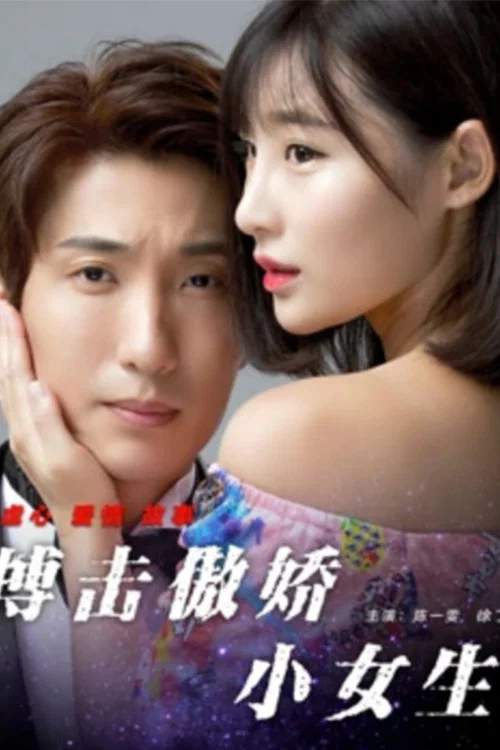 搏擊傲嬌小女生(2017)海報