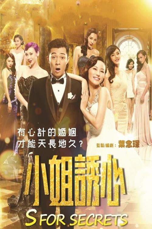 愛情攻略 小姐誘心(2014)海報
