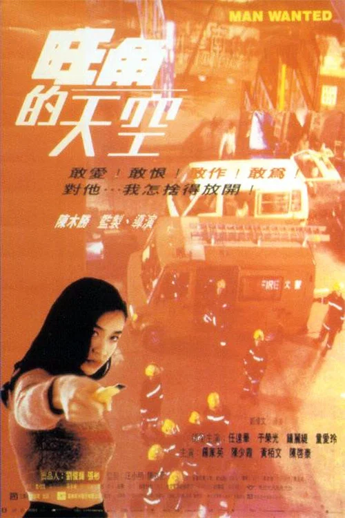 旺角的天空(1995)海報