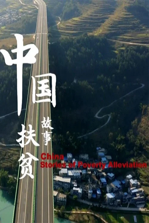 中国扶贫故事(2020)海报