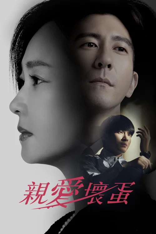 親愛壞蛋劇照5