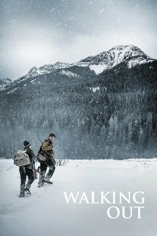 冰雪之行(2017)海報