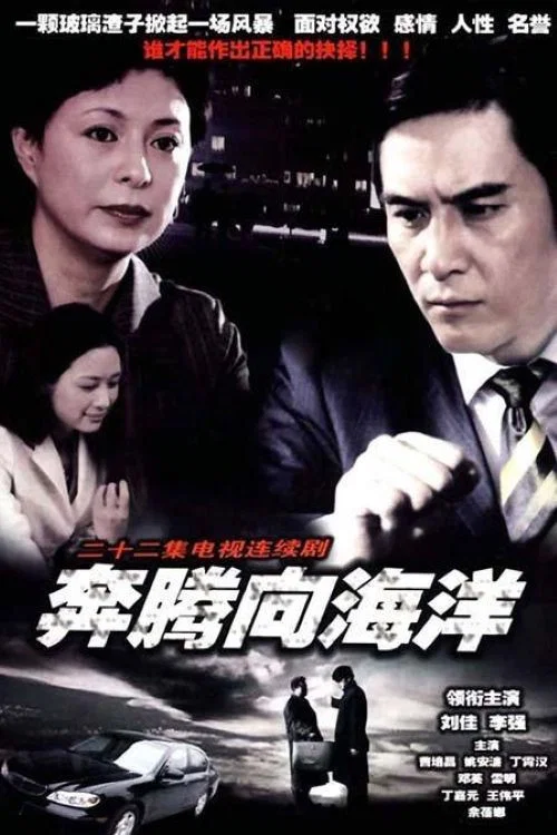 奔騰向海洋海報