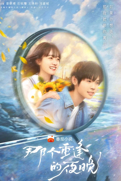 那个重逢的夜晚(2024)海报