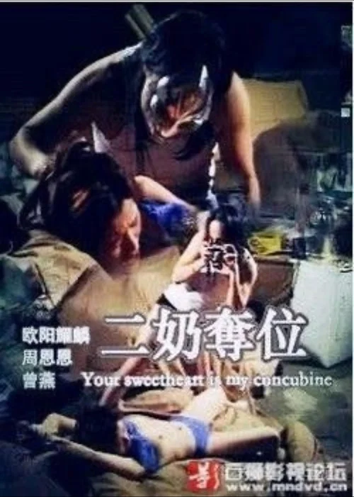 二奶夺位(1999)海报