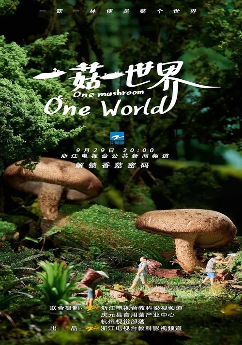 一菇一世界(2021)海報