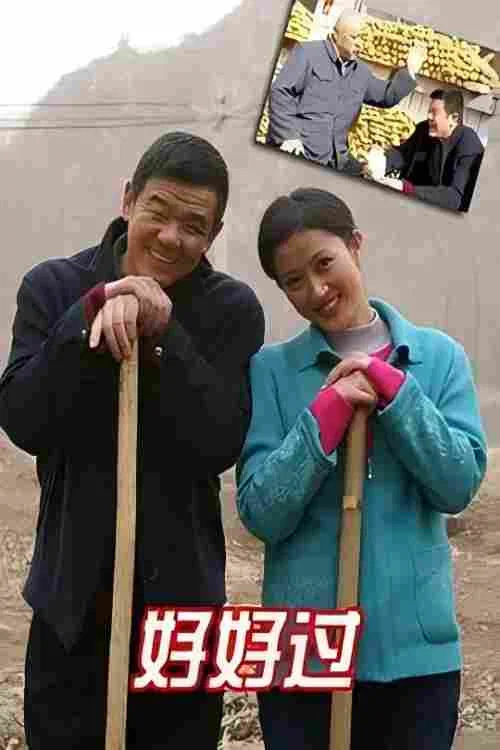 好好過(2008)海報
