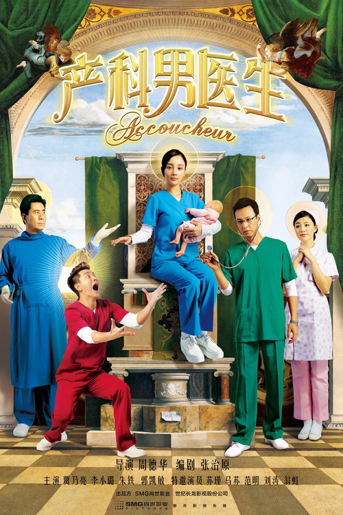 產科男醫生(2014)海報