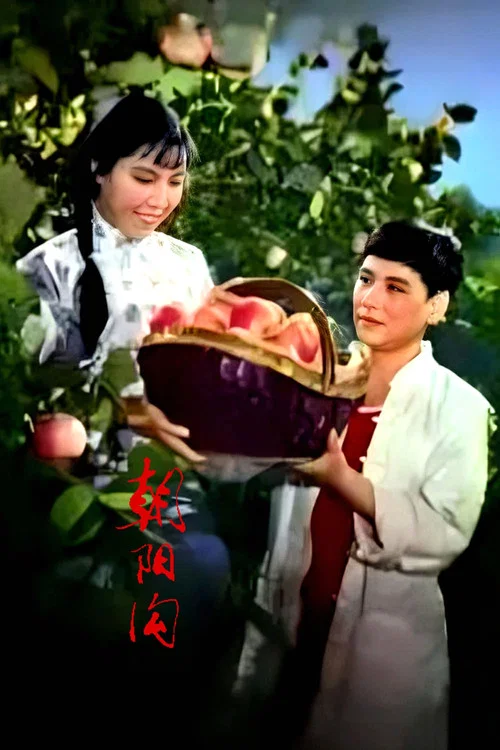 朝陽溝(1963)海報