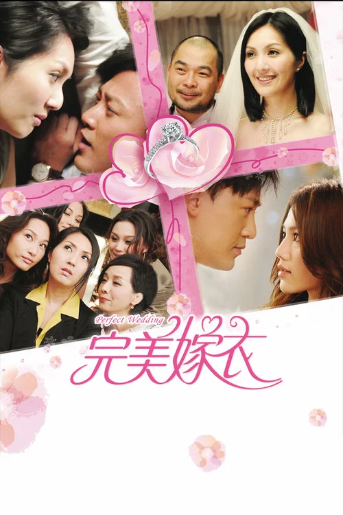 完美嫁衣(2010)海报