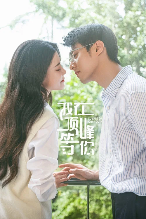 我在顶峰等你剧照6