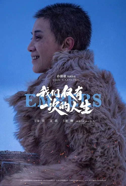 我们仅有一次的人生(2026)海报