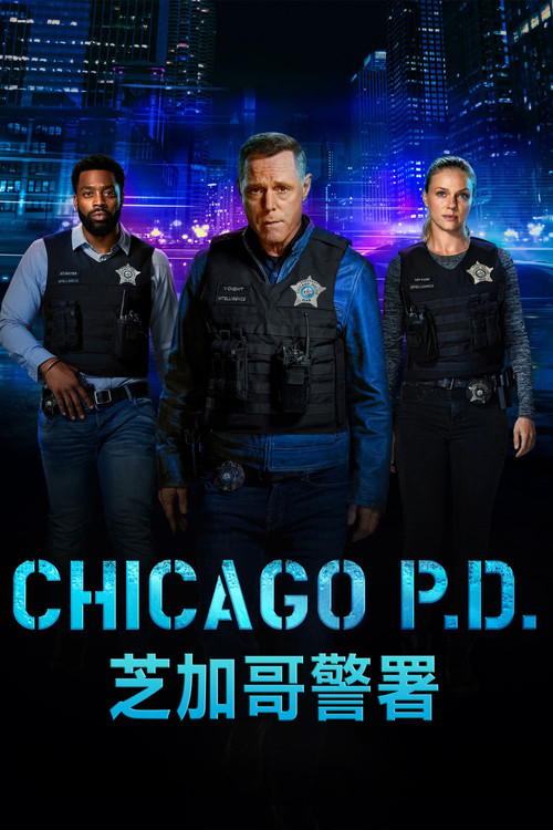 芝加哥警署第八季剧照2
