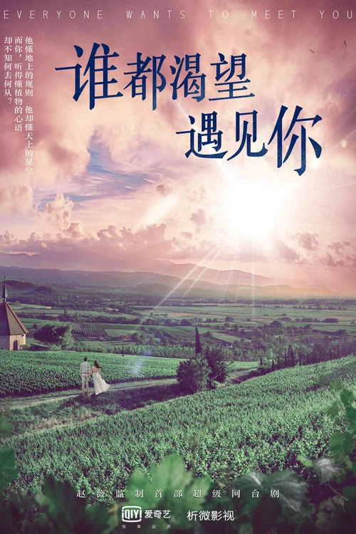 誰都渴望遇見你劇照3