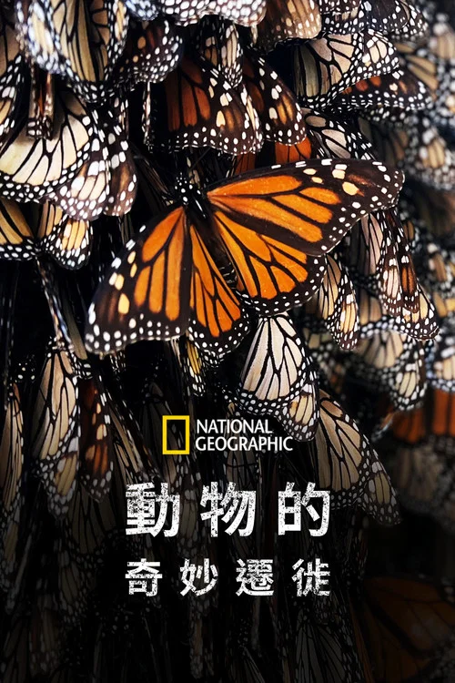 生灵奇旅(2023)海报