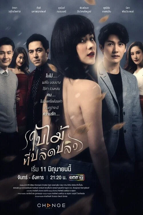 吹落的树叶(2019)海报
